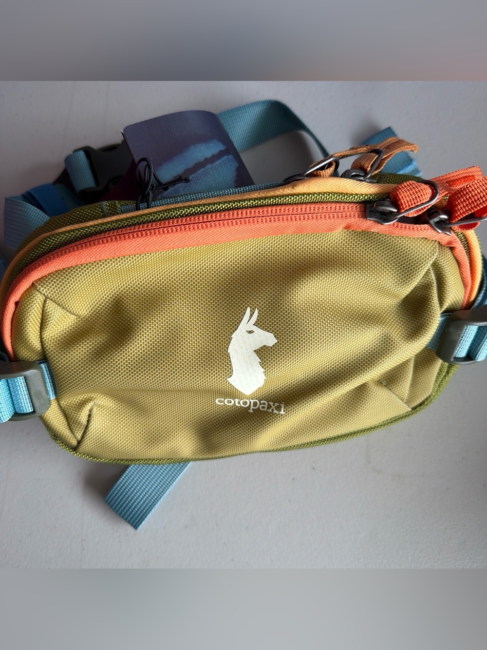 Light Blue Strap Olive Green Men’s Backpack Accent -